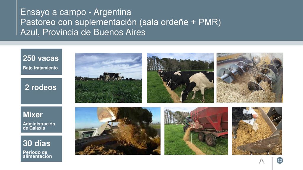 Ensayo a campo - Argentina Pastoreo con suplementación (sala ordeñe + PMR) Azul, Provincia de Buenos Aires