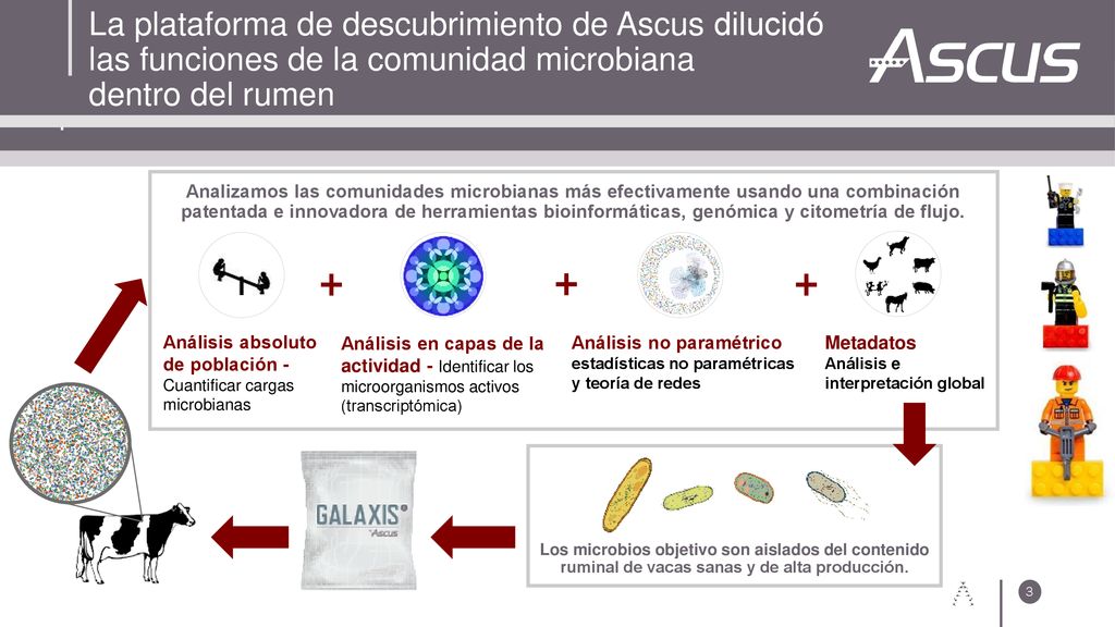 La plataforma de descubrimiento de Ascus dilucidó las funciones de la comunidad microbiana.
