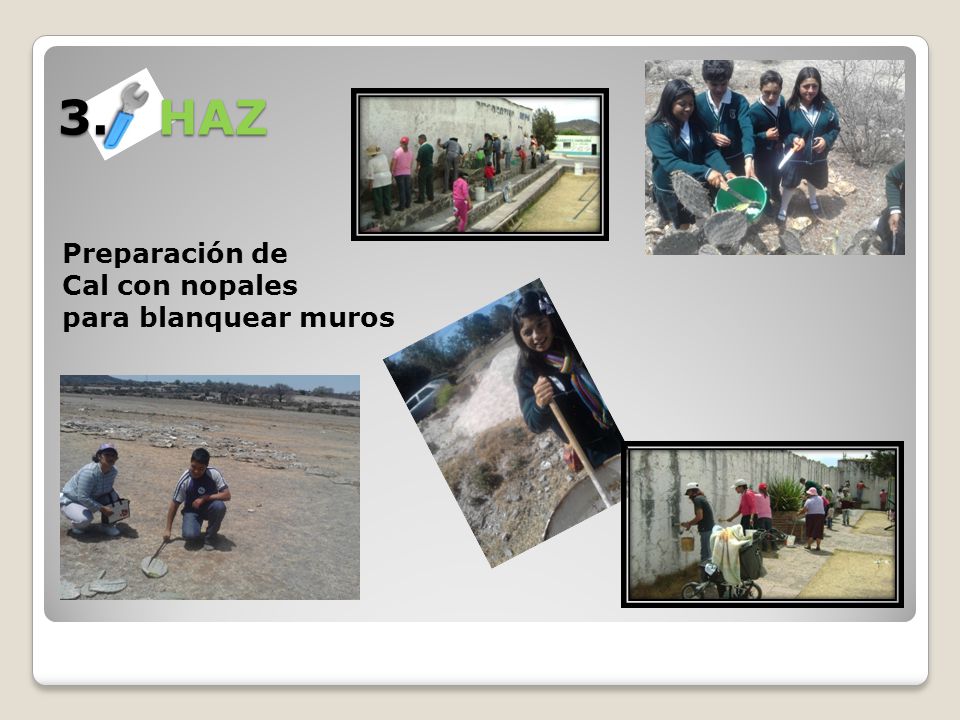 3. HAZ Preparación de Cal con nopales para blanquear muros