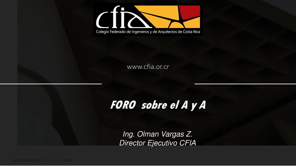 FORO sobre el A y A   Ing. Olman Vargas Z.
