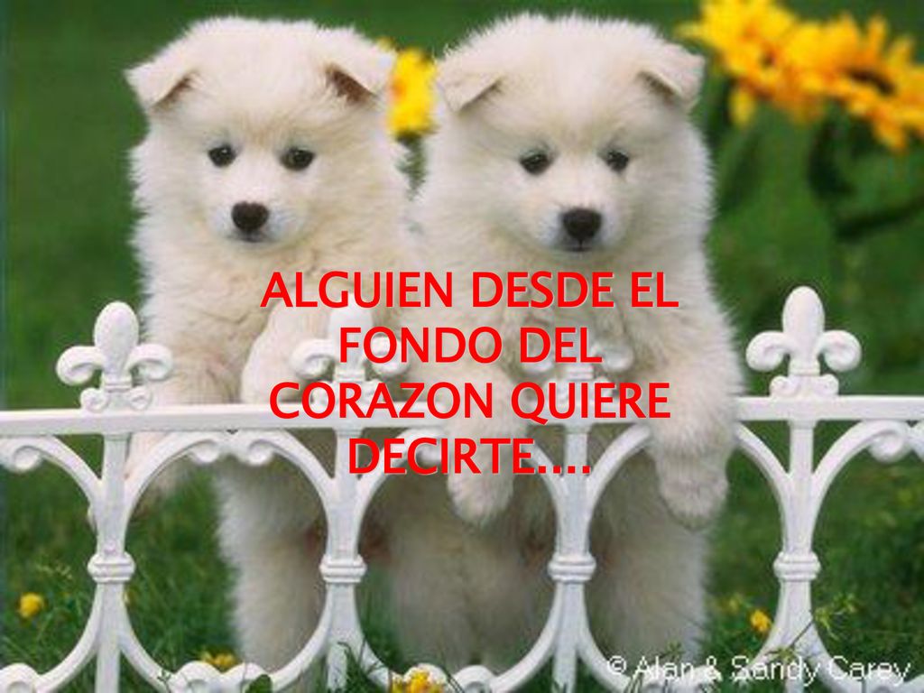 ALGUIEN DESDE EL FONDO DEL CORAZON QUIERE DECIRTE....