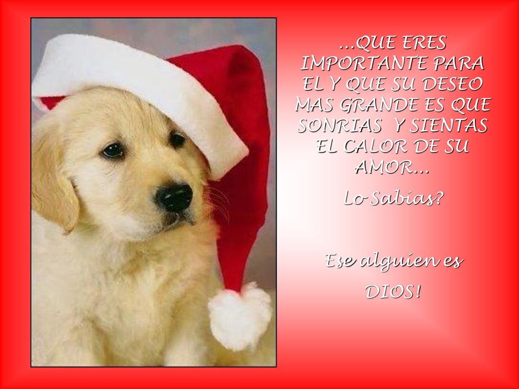 ...QUE ERES IMPORTANTE PARA EL Y QUE SU DESEO MAS GRANDE ES QUE SONRIAS Y SIENTAS EL CALOR DE SU AMOR...