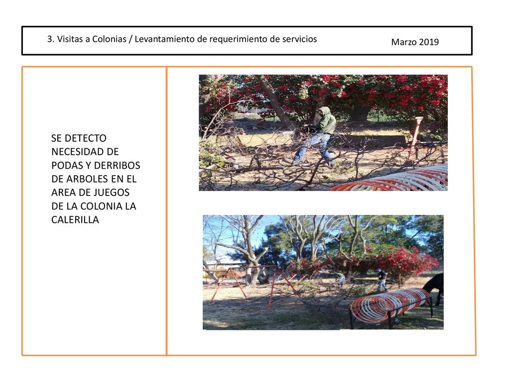 3. Visitas a Colonias / Levantamiento de requerimiento de servicios