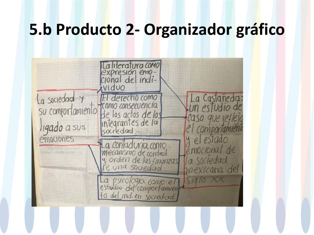 5.b Producto 2- Organizador gráfico