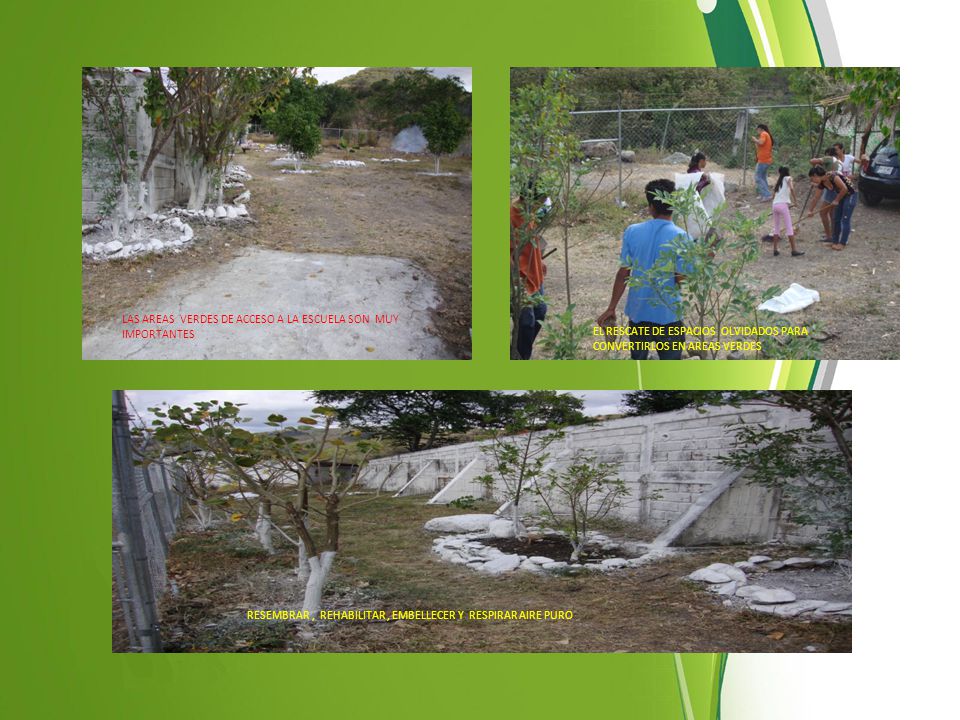 LAS AREAS VERDES DE ACCESO A LA ESCUELA SON MUY IMPORTANTES