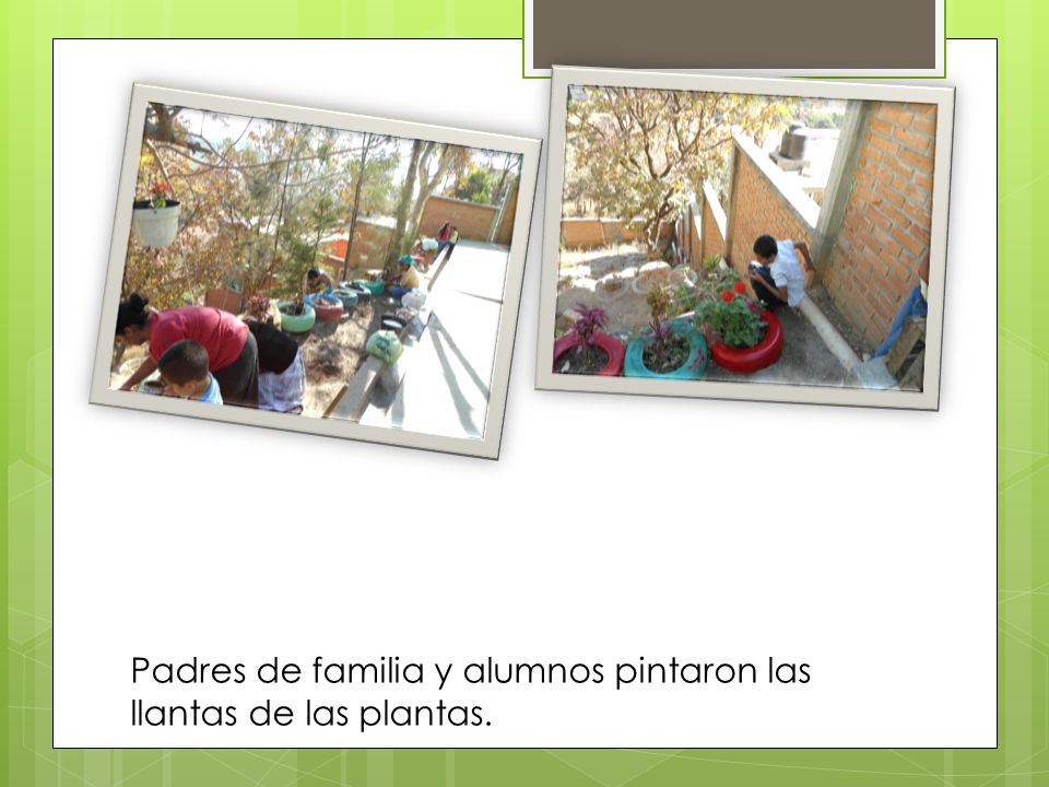 Padres de familia y alumnos pintaron las llantas de las plantas.