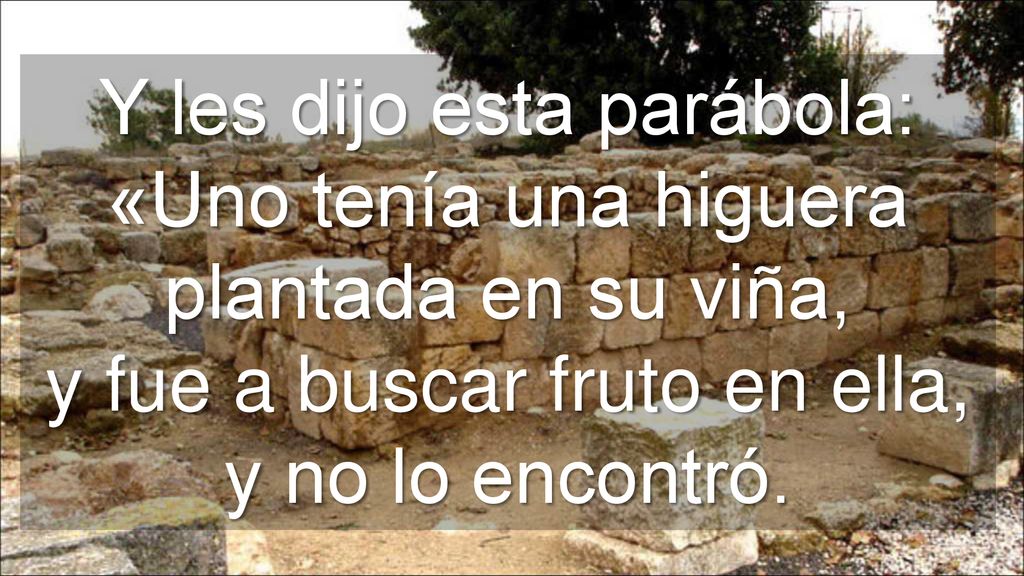 Y les dijo esta parábola: «Uno tenía una higuera plantada en su viña, y fue a buscar fruto en ella, y no lo encontró.