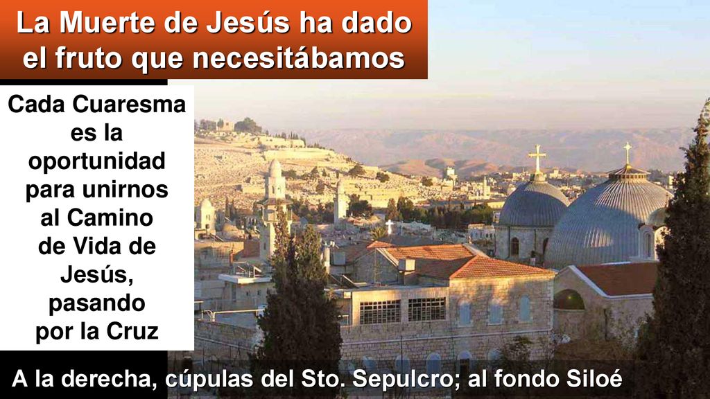 La Muerte de Jesús ha dado el fruto que necesitábamos