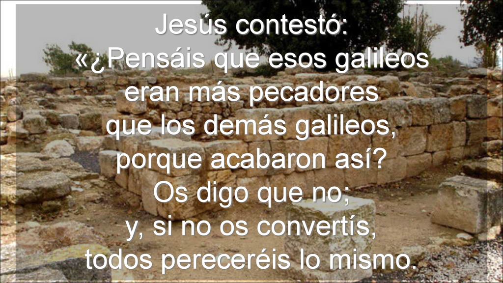 Jesús contestó: «¿Pensáis que esos galileos eran más pecadores que los demás galileos, porque acabaron así.