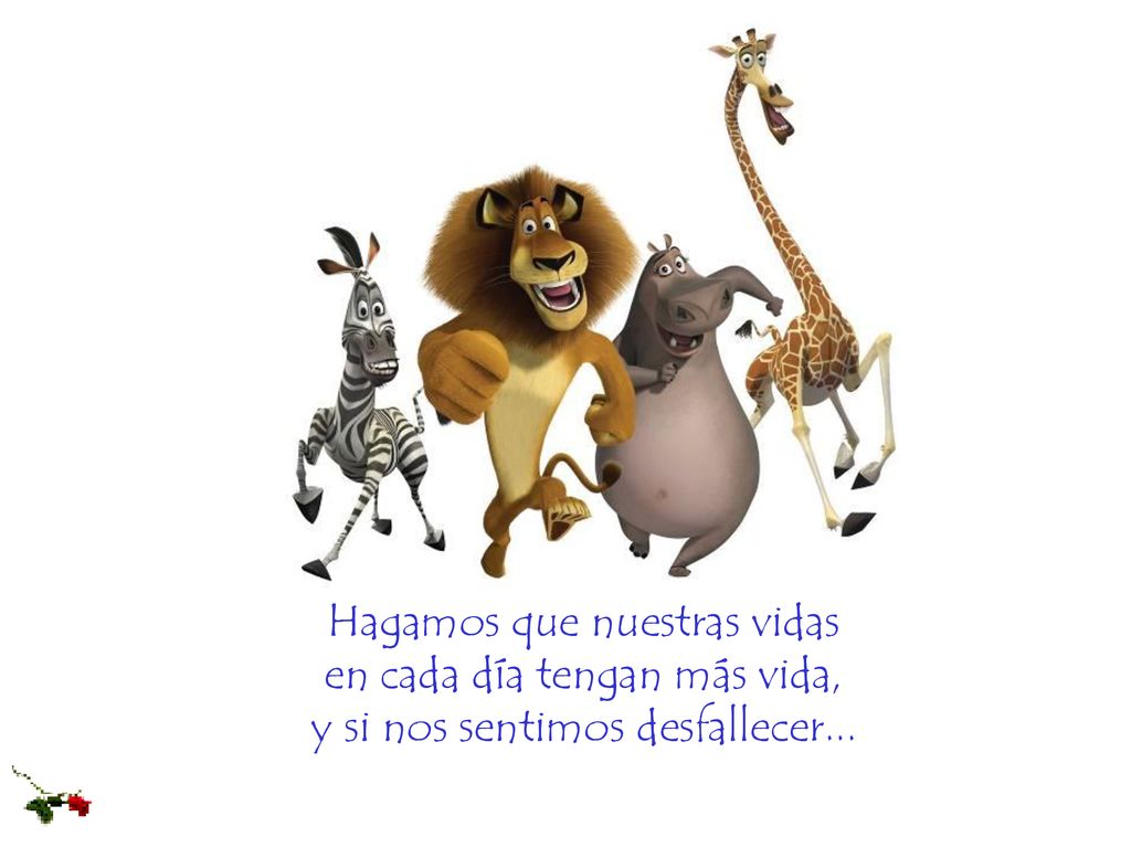 Hagamos que nuestras vidas en cada día tengan más vida, y si nos sentimos desfallecer...