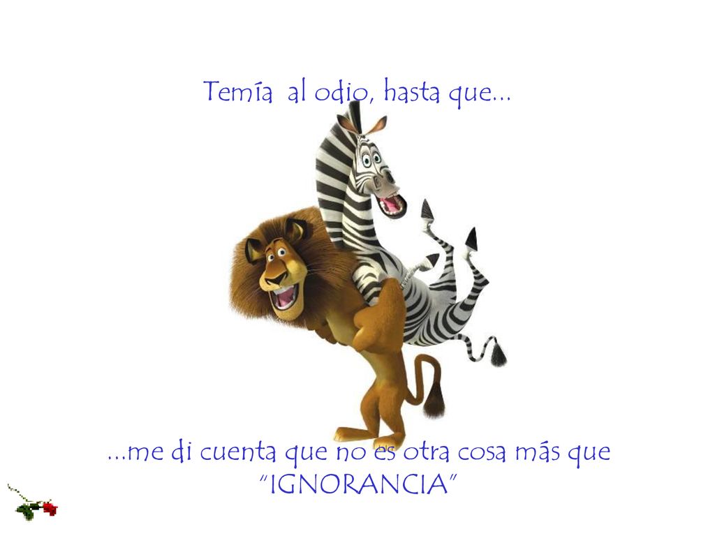 ...me di cuenta que no es otra cosa más que IGNORANCIA