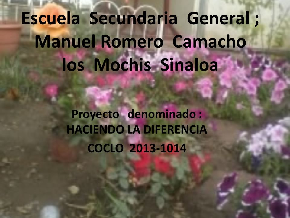 Escuela Secundaria General ; Manuel Romero Camacho los Mochis Sinaloa