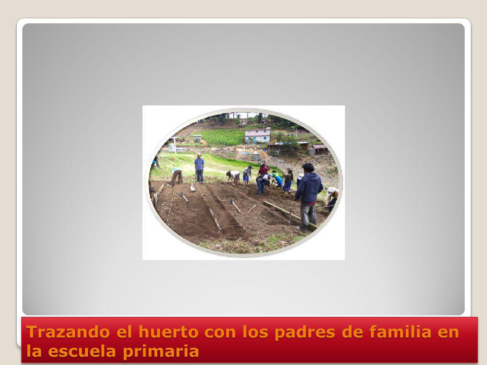 Trazando el huerto con los padres de familia en la escuela primaria
