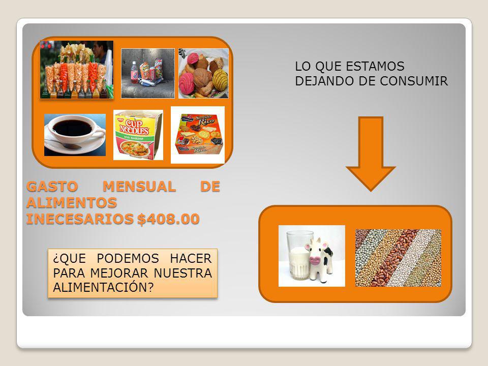GASTO MENSUAL DE ALIMENTOS INECESARIOS $408.00