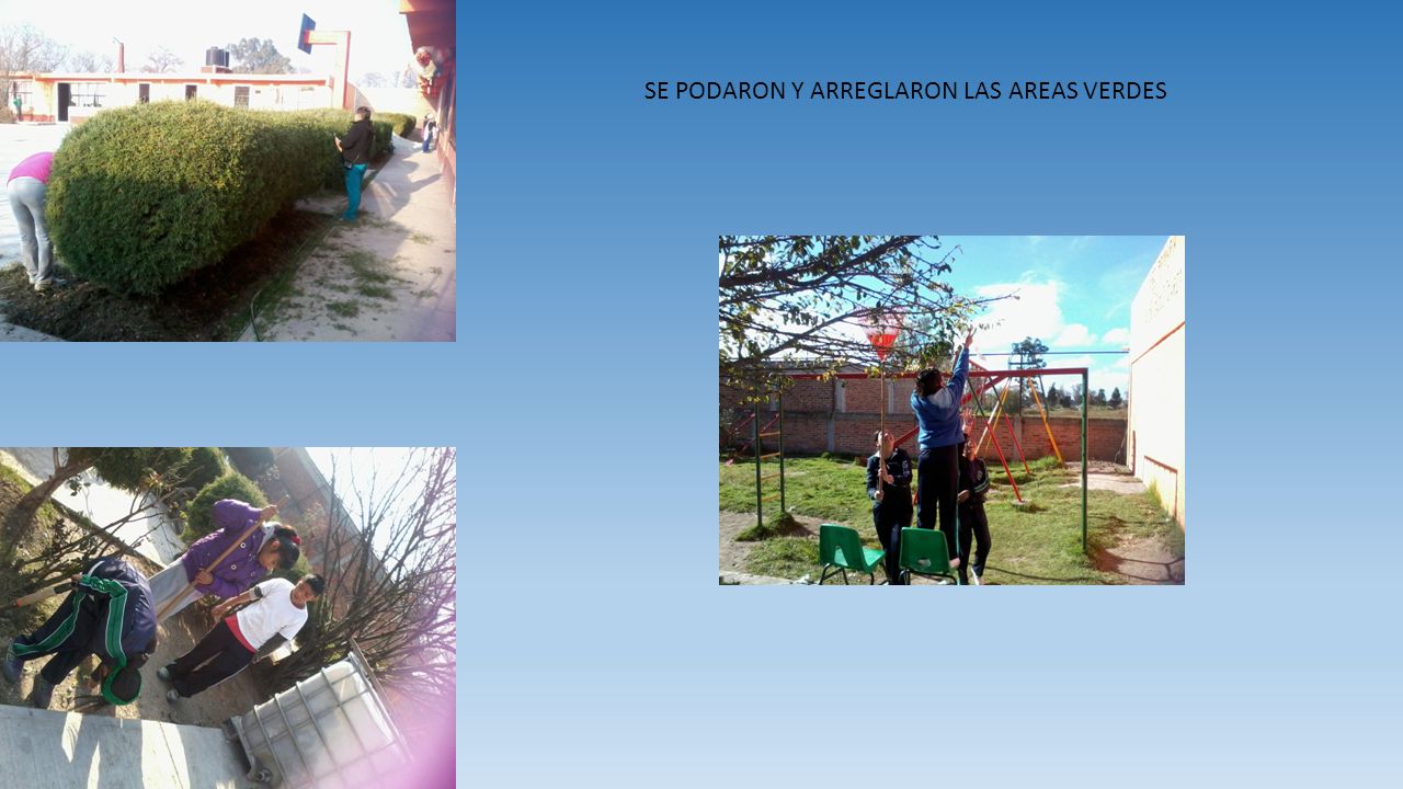 SE PODARON Y ARREGLARON LAS AREAS VERDES