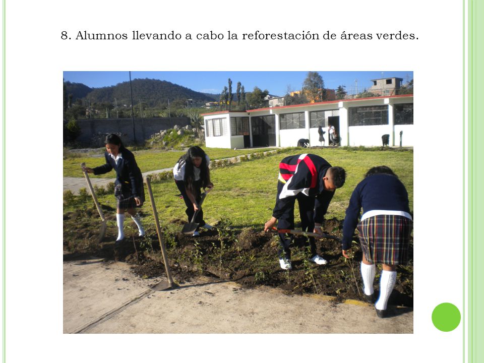 8. Alumnos llevando a cabo la reforestación de áreas verdes.