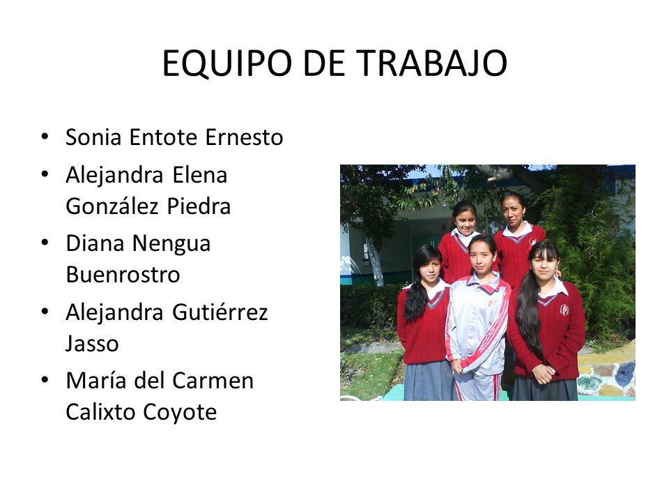 EQUIPO DE TRABAJO Sonia Entote Ernesto Alejandra Elena González Piedra