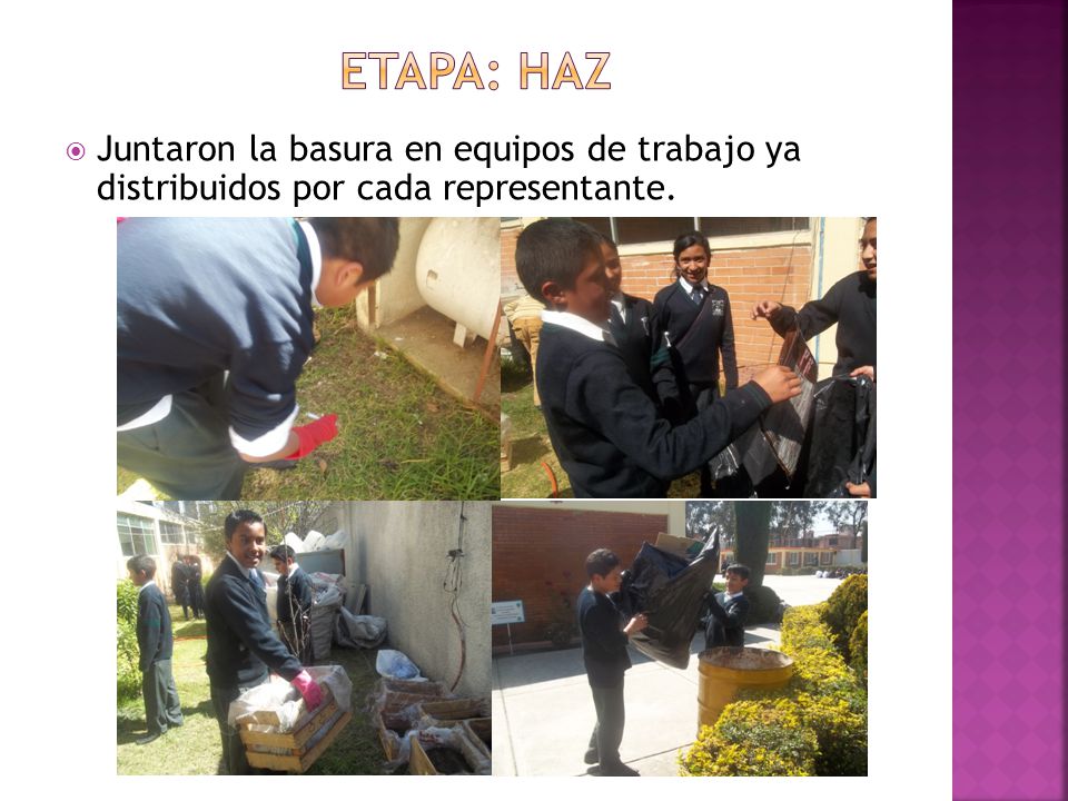 Etapa: haz Juntaron la basura en equipos de trabajo ya distribuidos por cada representante.