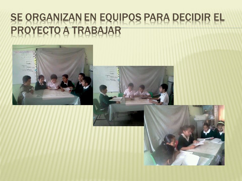 Se organizan en equipos para decidir el proyecto a trabajar
