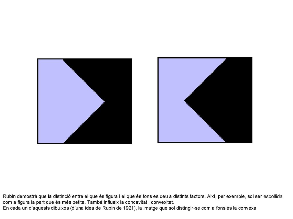 Rubin demostrà que la distinció entre el que és figura i el que és fons es deu a distints factors.