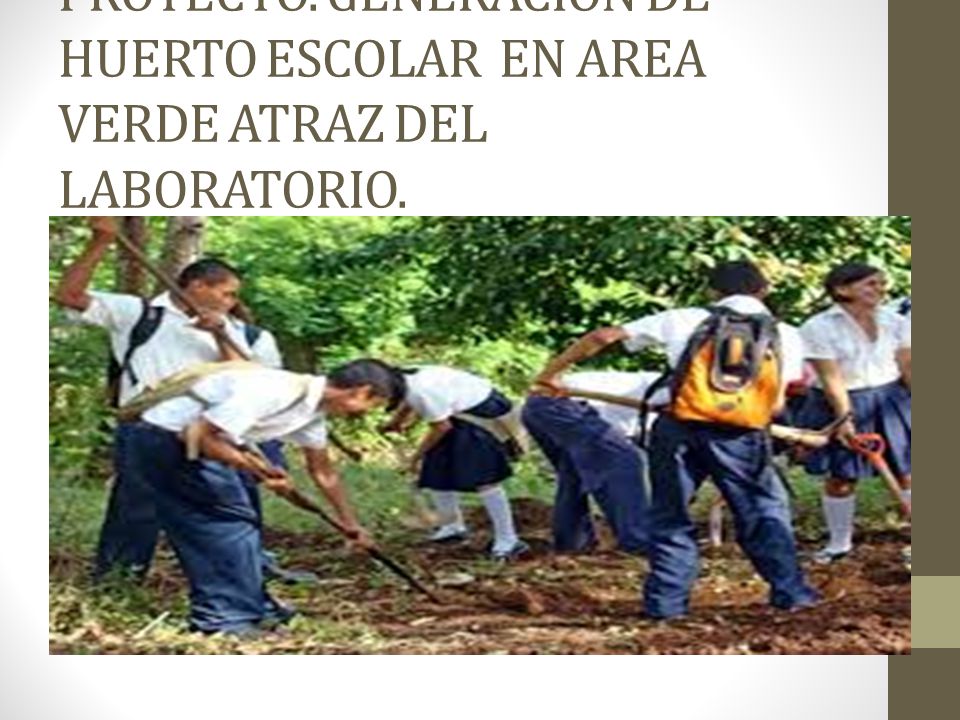 PROYECTO. GENERACION DE HUERTO ESCOLAR EN AREA VERDE ATRAZ DEL LABORATORIO.