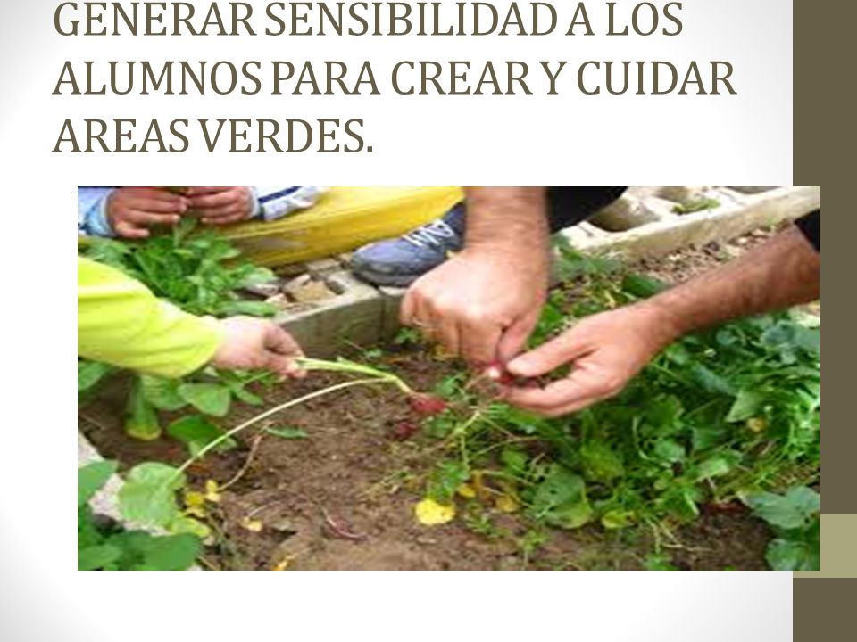 GENERAR SENSIBILIDAD A LOS ALUMNOS PARA CREAR Y CUIDAR AREAS VERDES.