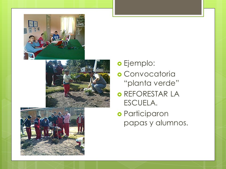 Ejemplo: Convocatoria planta verde REFORESTAR LA ESCUELA. Participaron papas y alumnos.