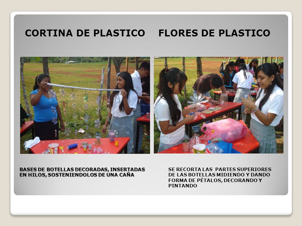 CORTINA DE PLASTICO FLORES DE PLASTICO