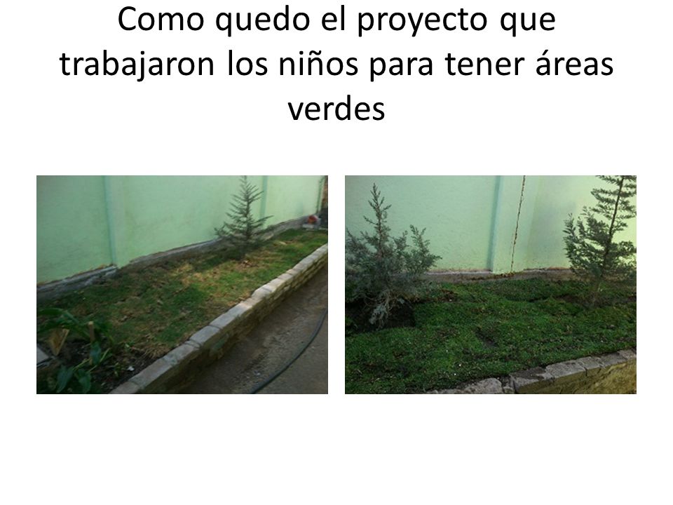 Como quedo el proyecto que trabajaron los niños para tener áreas verdes