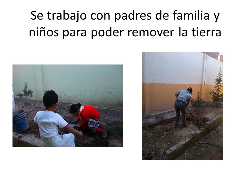 Se trabajo con padres de familia y niños para poder remover la tierra