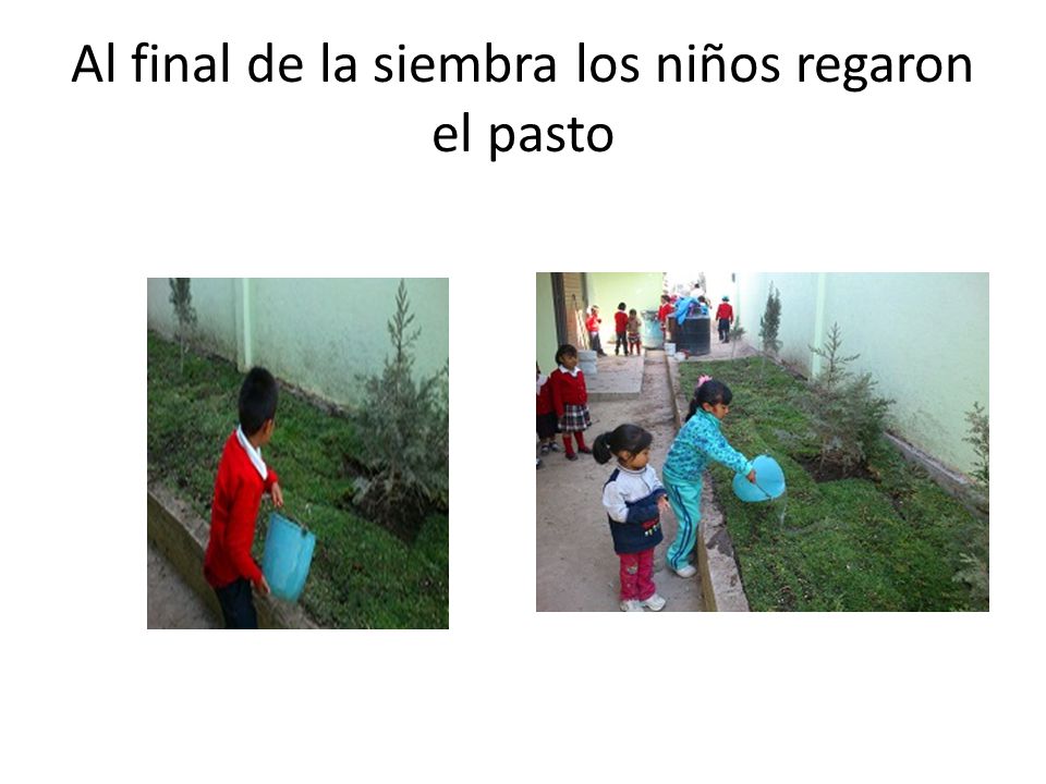 Al final de la siembra los niños regaron el pasto