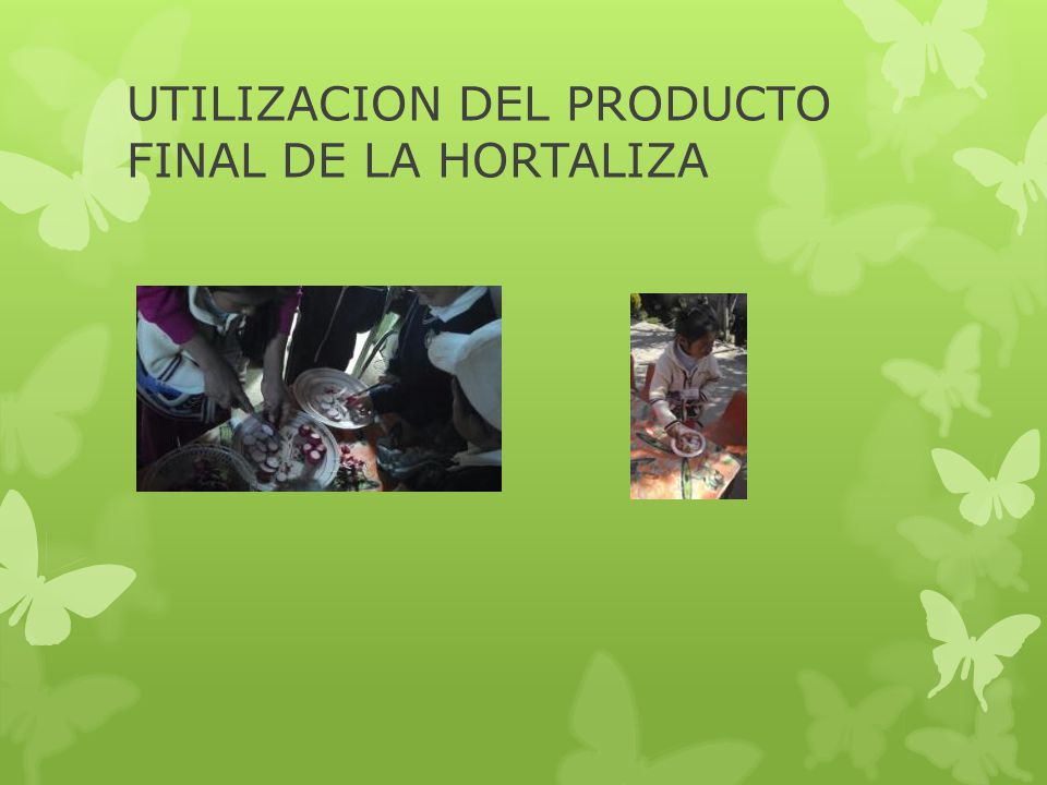 UTILIZACION DEL PRODUCTO FINAL DE LA HORTALIZA