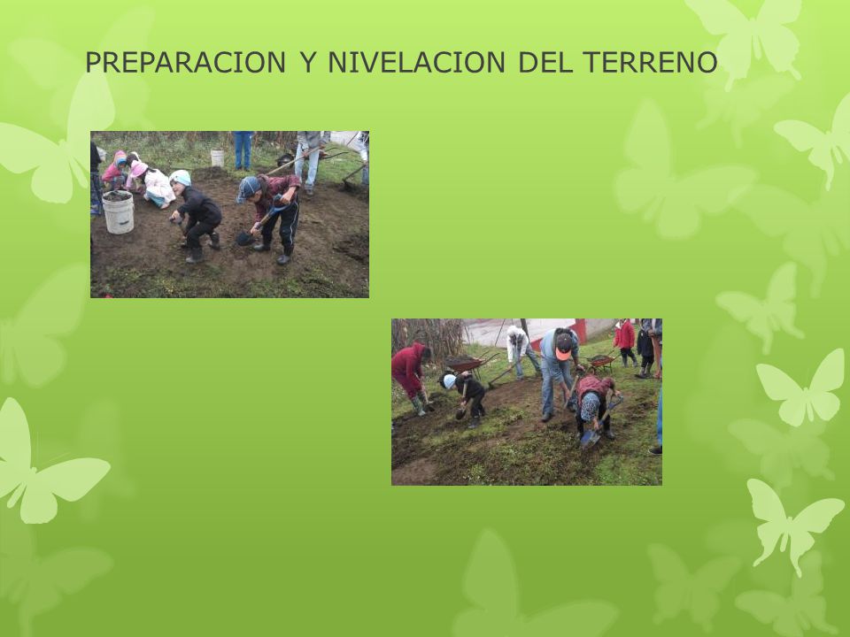 PREPARACION Y NIVELACION DEL TERRENO