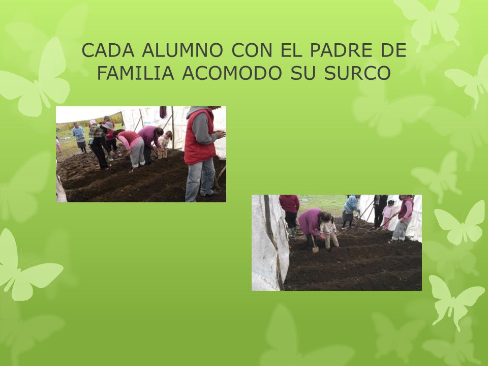 CADA ALUMNO CON EL PADRE DE FAMILIA ACOMODO SU SURCO