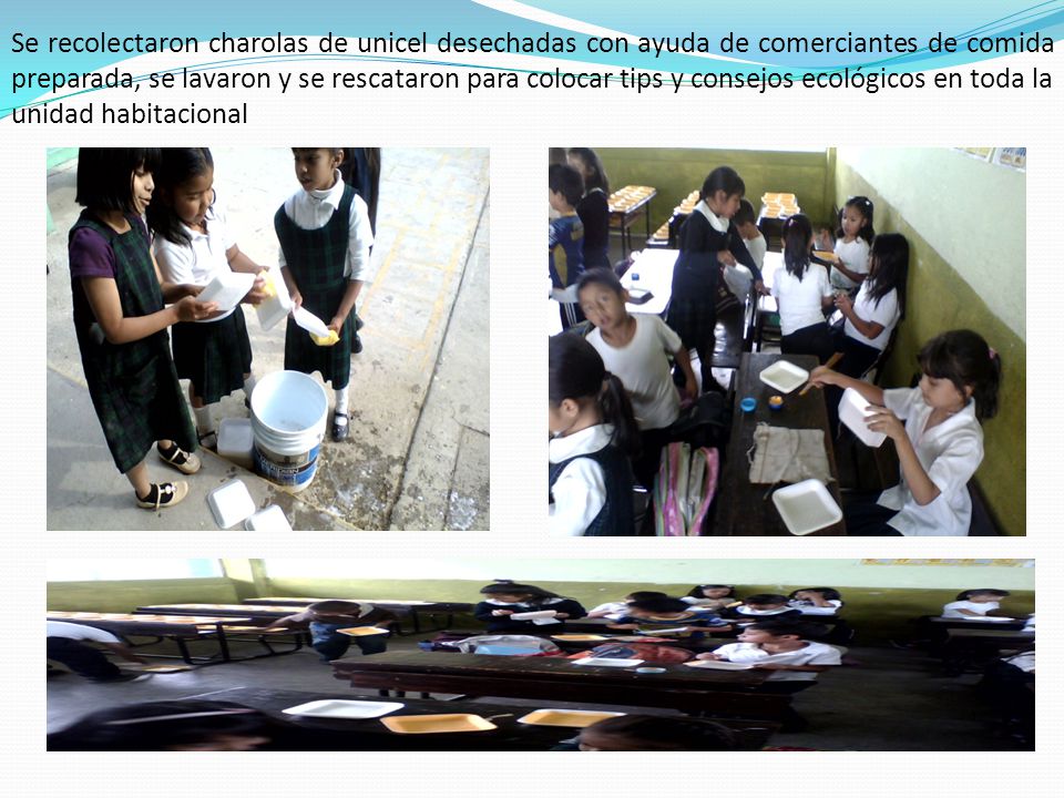 Se recolectaron charolas de unicel desechadas con ayuda de comerciantes de comida preparada, se lavaron y se rescataron para colocar tips y consejos ecológicos en toda la unidad habitacional