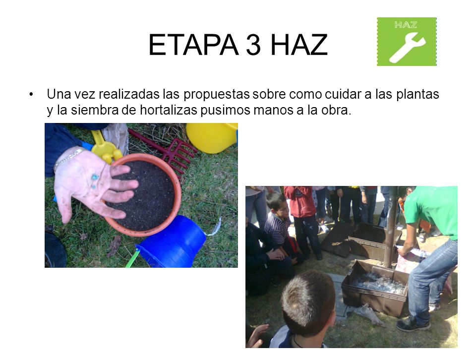 ETAPA 3 HAZ Una vez realizadas las propuestas sobre como cuidar a las plantas y la siembra de hortalizas pusimos manos a la obra.