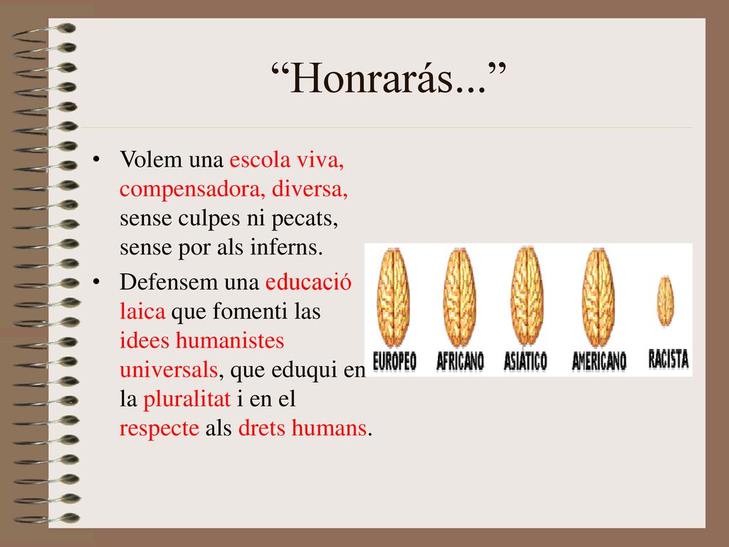Honrarás... Volem una escola viva, compensadora, diversa, sense culpes ni pecats, sense por als inferns.