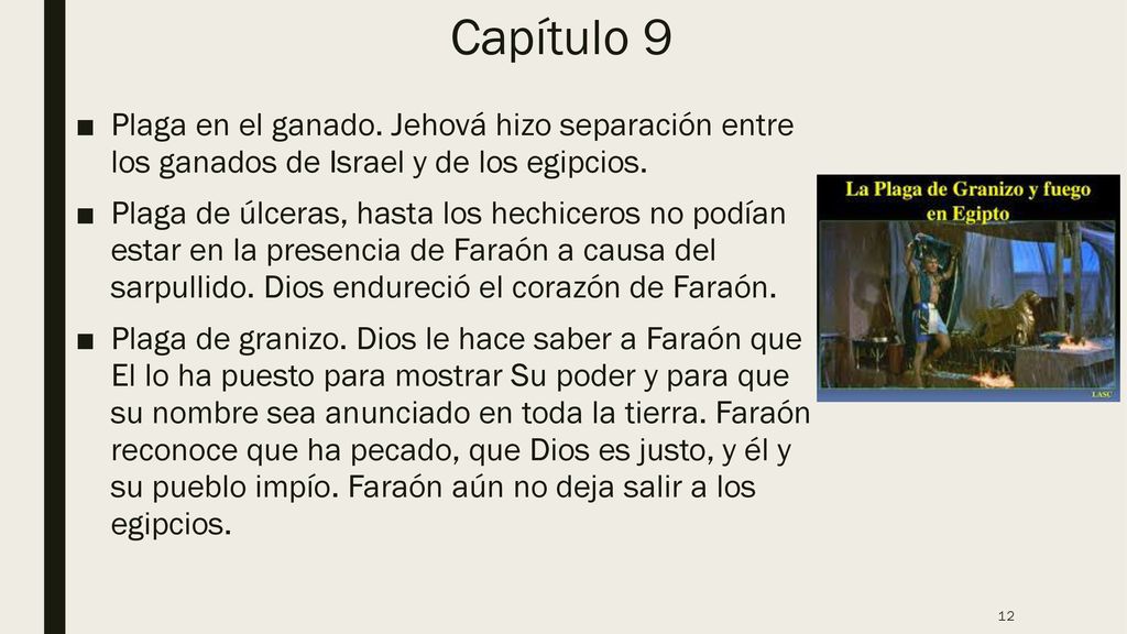 Capítulo 9 Plaga en el ganado. Jehová hizo separación entre los ganados de Israel y de los egipcios.
