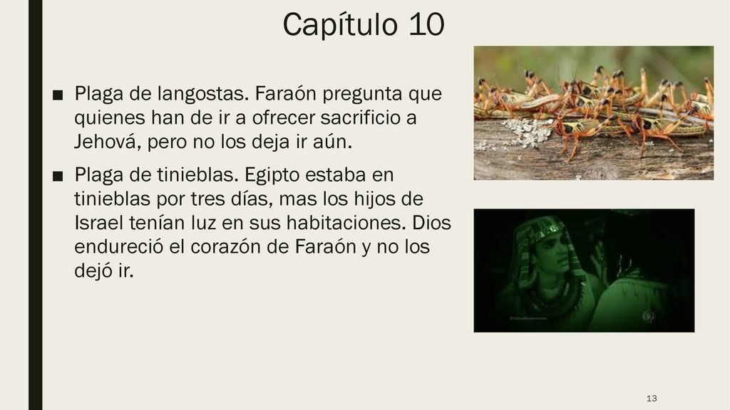 Capítulo 10 Plaga de langostas. Faraón pregunta que quienes han de ir a ofrecer sacrificio a Jehová, pero no los deja ir aún.