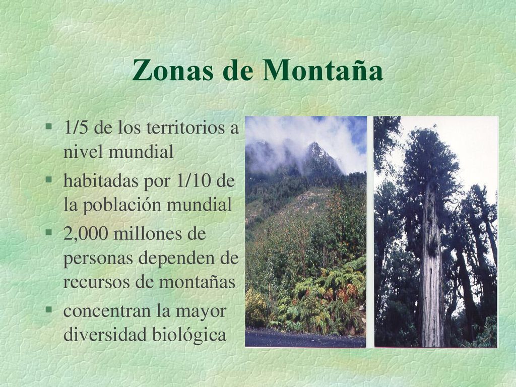 Zonas de Montaña 1/5 de los territorios a nivel mundial