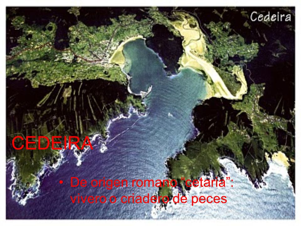 CEDEIRA De origen romano cetaria : vivero o criadero de peces