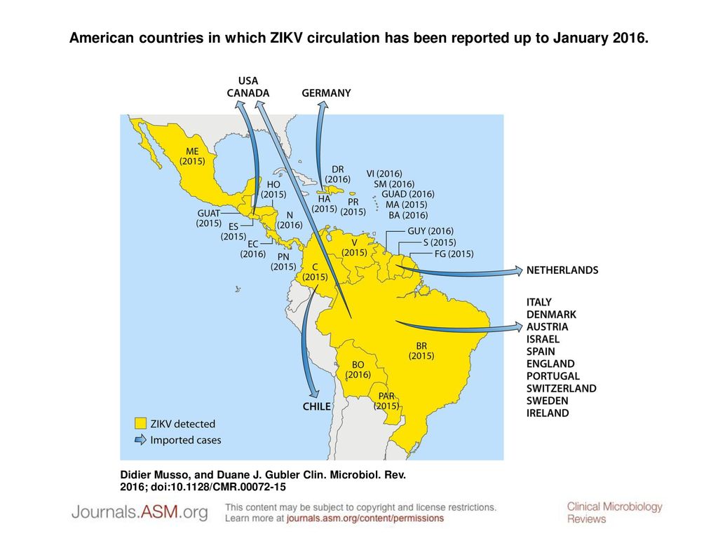 American countries in which ZIKV circulation has been reported up to January 2016.