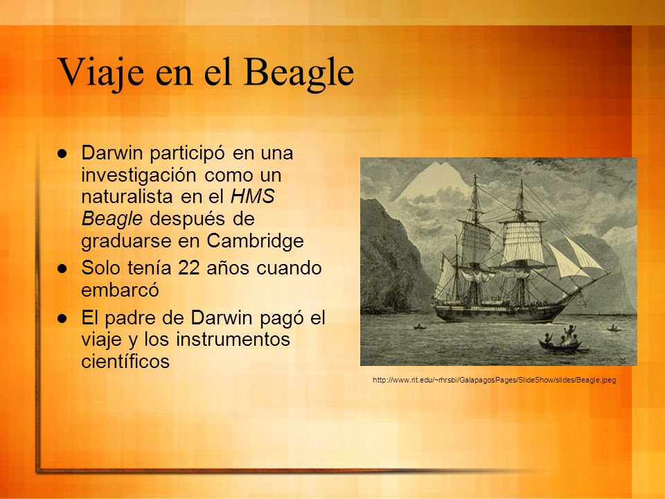 Viaje en el Beagle Darwin participó en una investigación como un naturalista en el HMS Beagle después de graduarse en Cambridge.