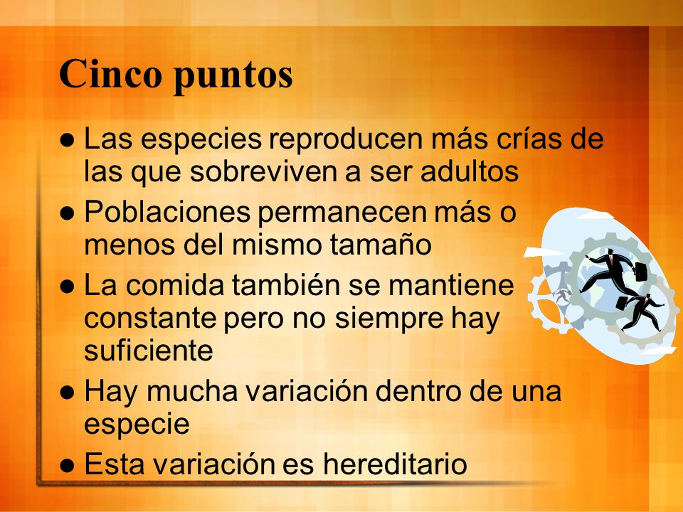 Cinco puntos Las especies reproducen más crías de las que sobreviven a ser adultos. Poblaciones permanecen más o menos del mismo tamaño.