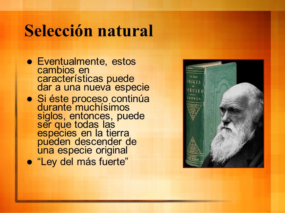 Selección natural Eventualmente, estos cambios en características puede dar a una nueva especie.