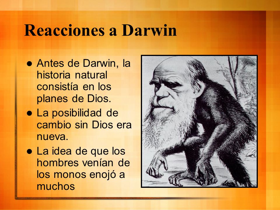Reacciones a Darwin Antes de Darwin, la historia natural consistía en los planes de Dios. La posibilidad de cambio sin Dios era nueva.