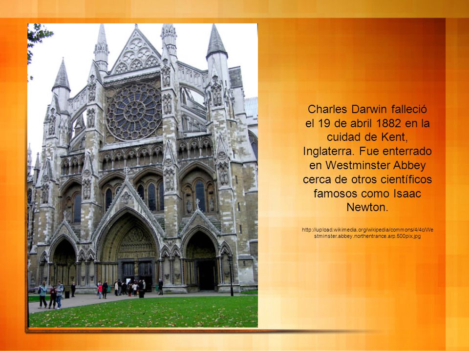 Charles Darwin falleció el 19 de abril 1882 en la cuidad de Kent, Inglaterra. Fue enterrado en Westminster Abbey cerca de otros científicos famosos como Isaac Newton.