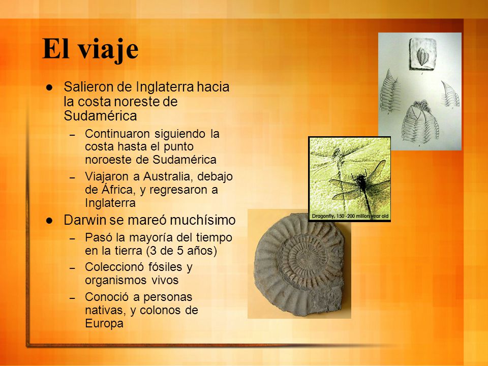 El viaje Salieron de Inglaterra hacia la costa noreste de Sudamérica
