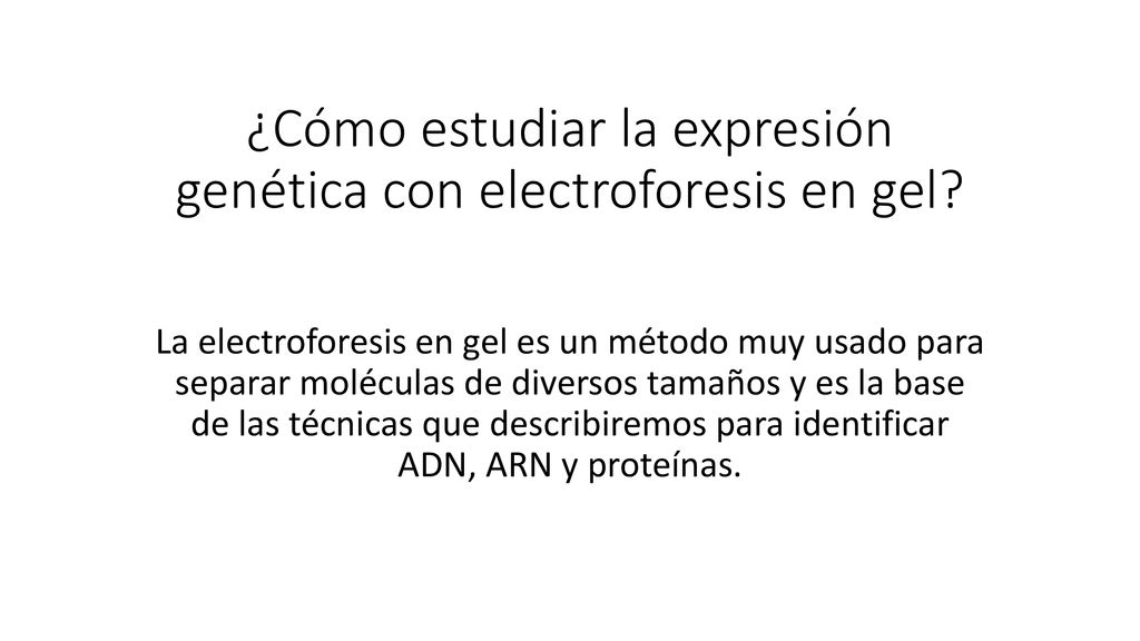 ¿Cómo estudiar la expresión genética con electroforesis en gel