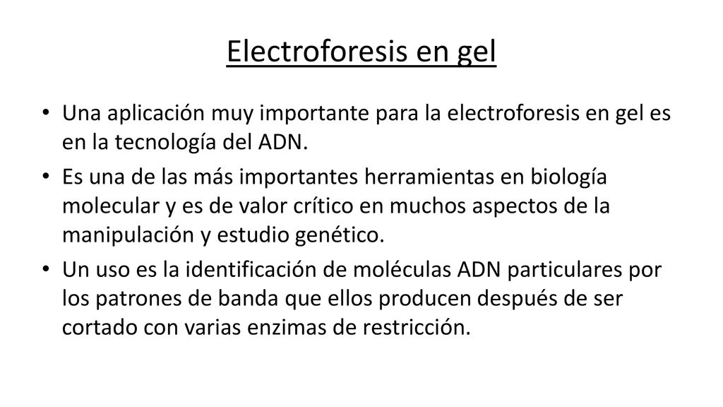 Electroforesis en gel Una aplicación muy importante para la electroforesis en gel es en la tecnología del ADN.